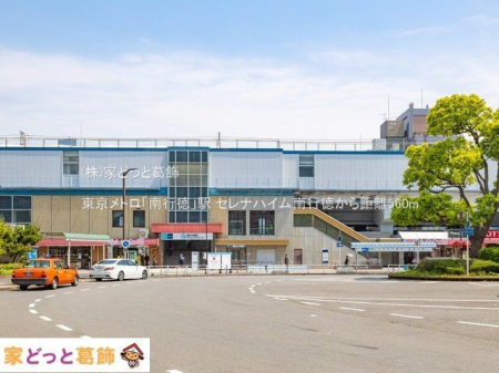 ���ӊ� �������g���u��s���v�w �B�e��(2022-05-18) 560m