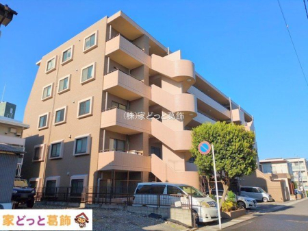 ���n�O�ώʐ^ �B�e��(2025-11-17)