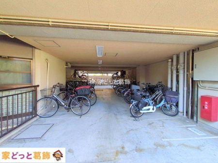 ���n�O�ώʐ^ �B�e��(2025-11-17 00:00:00)