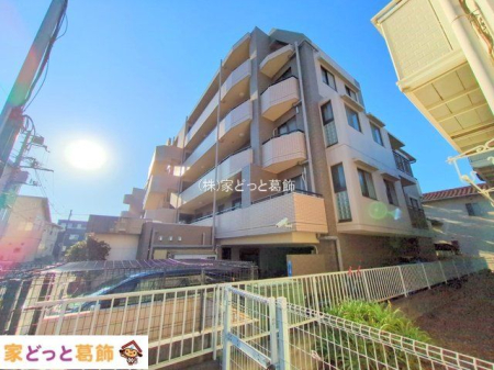 ���n�O�ώʐ^ �B�e��(2025-11-17 00:00:00)