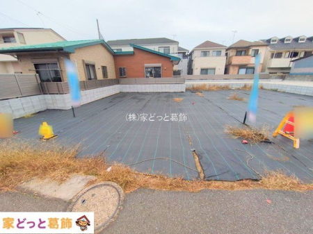 ���n�y�n�ʐ^ �B�e��(2025-11-25 00:00:00)