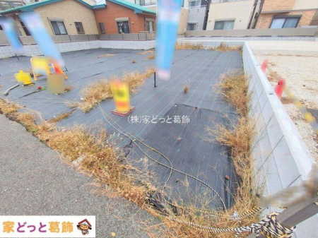 ���n�y�n�ʐ^ �B�e��(2025-11-25 00:00:00)