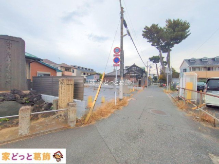 ���n�y�n�ʐ^ �B�e��(2025-11-25 00:00:00)