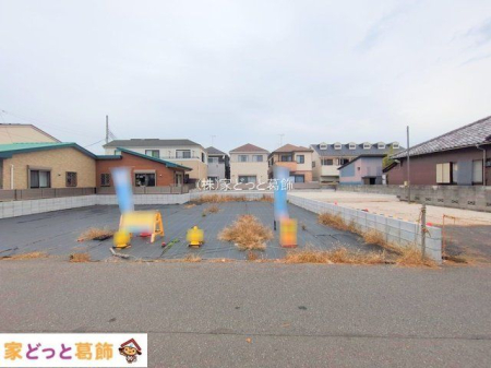 ���n�y�n�ʐ^ �B�e��(2025-11-25 00:00:00)