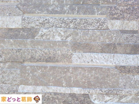 ���n�O�ώʐ^ �B�e��(2025-10-08 00:00:00)