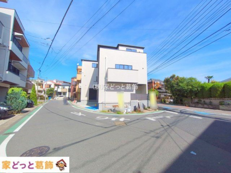 ���n�O�ώʐ^ �B�e��(2025-10-08)