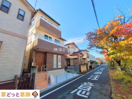 ���n�O�ώʐ^ �B�e��(2024-11-27)