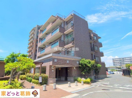 ���n�O�ώʐ^ �B�e��(2025-07-10)