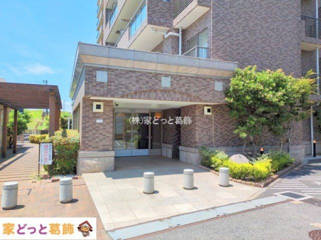 �G���g�����X �B�e��(2025-07-10)