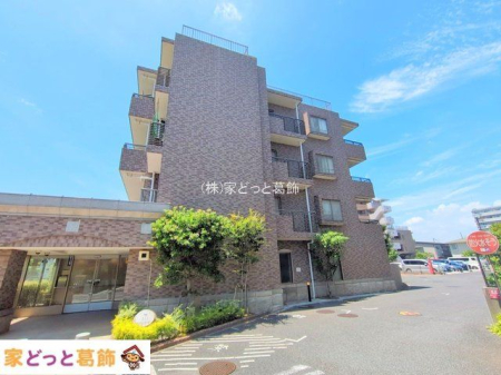 ���n�O�ώʐ^ �B�e��(2025-07-10 00:00:00)