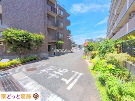 ���n�O�ώʐ^ �B�e��(2025-07-10 00:00:00)