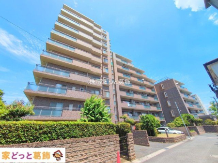 ���n�O�ώʐ^ �B�e��(2025-07-10 00:00:00)