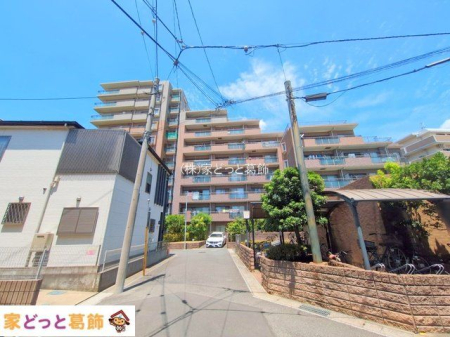 ���n�O�ώʐ^ �B�e��(2025-07-10 00:00:00)