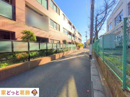 ���n�O�ώʐ^ �B�e��(2025-12-04 00:00:00)