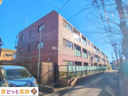 ���n�O�ώʐ^ �B�e��(2025-12-04 00:00:00)