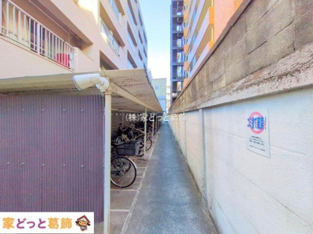 ���n�O�ώʐ^ �B�e��(2025-12-10 00:00:00)