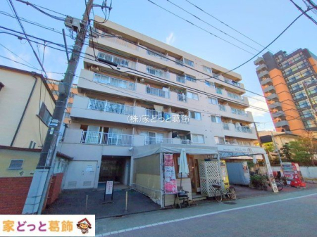 ���n�O�ώʐ^ �B�e��(2025-12-10)