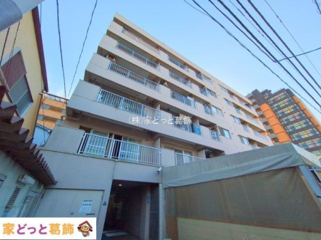 ���n�O�ώʐ^ �B�e��(2025-12-10 00:00:00)