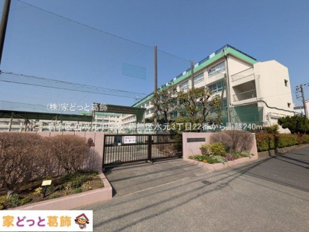 ���ӊ� �����旧�������w�Z �B�e��(2025-03-25) 240m