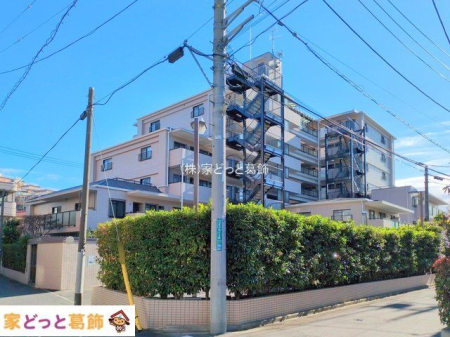 ���n�O�ώʐ^ �B�e��(2025-12-18 00:00:00)