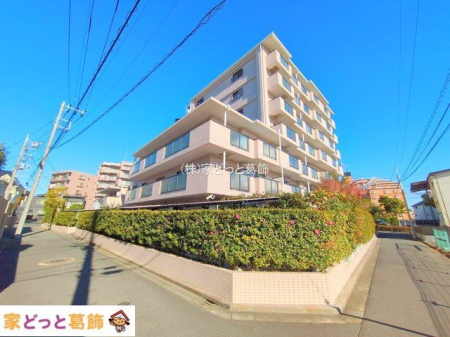 ���n�O�ώʐ^ �B�e��(2025-12-18 00:00:00)