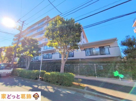 ���n�O�ώʐ^ �B�e��(2025-12-18 00:00:00)