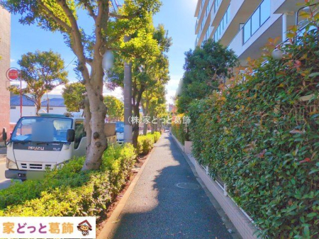 ���n�O�ώʐ^ �B�e��(2025-12-18 00:00:00)