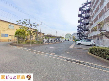 ���n�O�ώʐ^ �B�e��(2025-04-17 00:00:00)