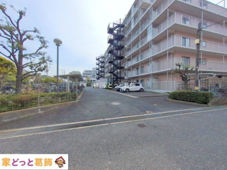 ���n�O�ώʐ^ �B�e��(2025-04-17 00:00:00)