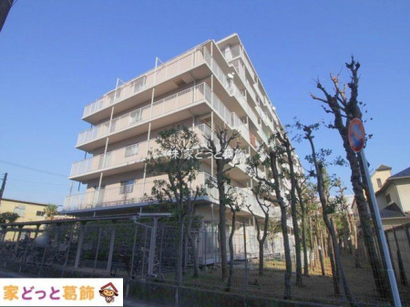 ���n�O�ώʐ^ �B�e��(2023-11-24 00:00:00)