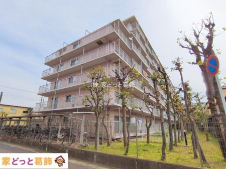 ���n�O�ώʐ^ �B�e��(2025-04-17)