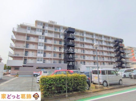 ���n�O�ώʐ^ �B�e��(2025-04-17 00:00:00)