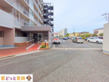 ���n�O�ώʐ^ �B�e��(2025-04-17 00:00:00)