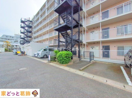 ���n�O�ώʐ^ �B�e��(2025-04-17 00:00:00)