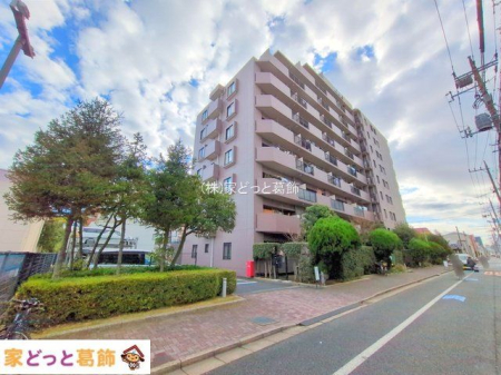 ���n�O�ώʐ^ �B�e��(2025-12-22)