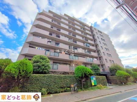 ���n�O�ώʐ^ �B�e��(2025-12-22 00:00:00)