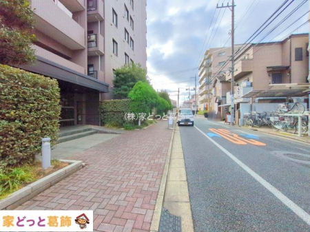 ���n�O�ώʐ^ �B�e��(2025-12-22 00:00:00)