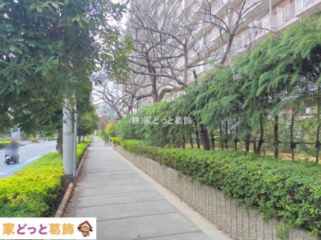 ���n�O�ώʐ^ �B�e��(2025-12-23 00:00:00)