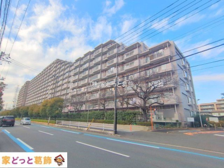 ���n�O�ώʐ^ �B�e��(2025-12-23)