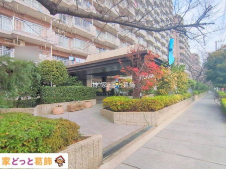 �G���g�����X �B�e��(2025-12-23)