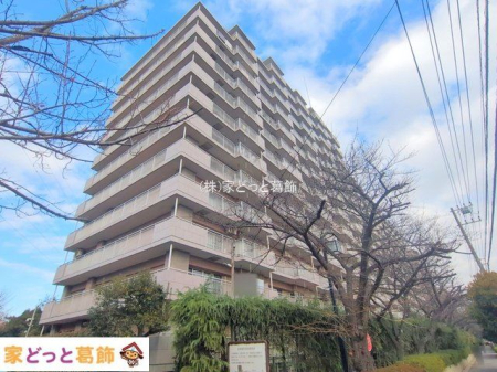 ���n�O�ώʐ^ �B�e��(2025-12-23 00:00:00)