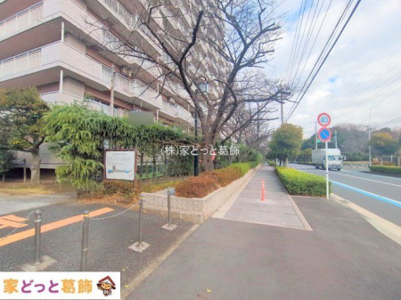 ���n�O�ώʐ^ �B�e��(2025-12-23 00:00:00)