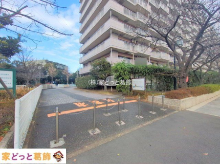 ���n�O�ώʐ^ �B�e��(2025-12-23 00:00:00)