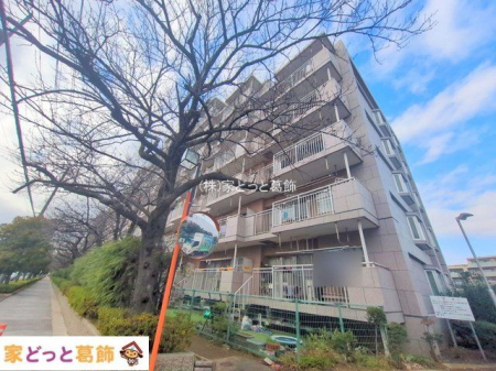 ���n�O�ώʐ^ �B�e��(2025-12-23 00:00:00)