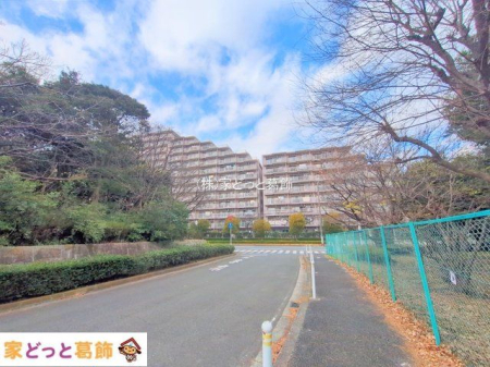 ���n�O�ώʐ^ �B�e��(2025-12-23 00:00:00)