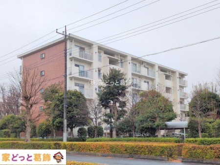 ���n�O�ώʐ^ �B�e��(2025-12-24 00:00:00)