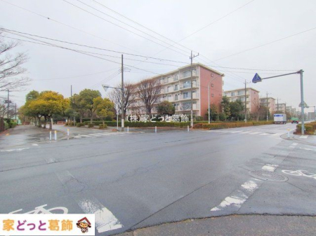 ���n�O�ώʐ^ �B�e��(2025-12-24 00:00:00)