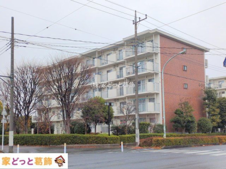 ���n�O�ώʐ^ �B�e��(2025-12-24)