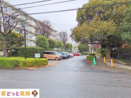 ���n�O�ώʐ^ �B�e��(2025-12-24 00:00:00)