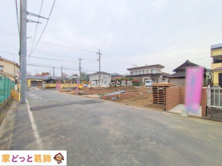 ���n�O�ώʐ^ �B�e��(2025-12-03 00:00:00)